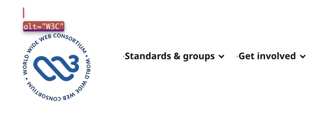 screenshot logo W3C